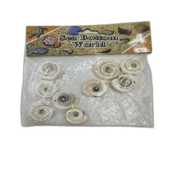 חרוזי צדף שבלול (34)