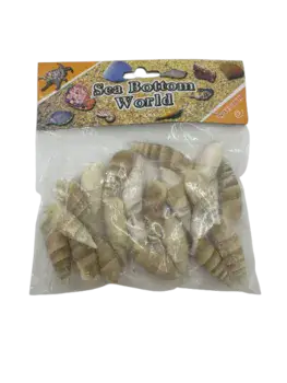 קונכיה גדול כהה-38