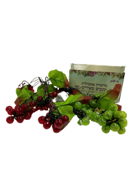 יצירות וקישוטים לסוכות