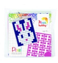 pixel-ארנב