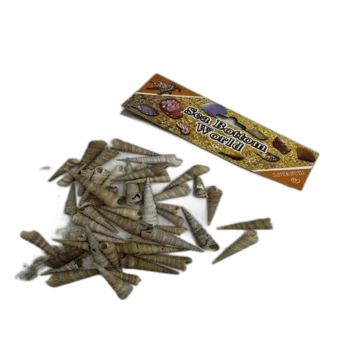 צדפים חרבות ארוכות