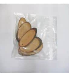 חתיכות גזע מאורך