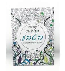 מנדלות לצביעה- נפלאות הטבע