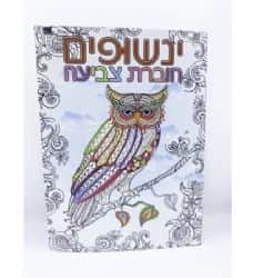 ינשופים חוברת צביעה