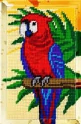 ערכת רקמה 15X25- תוכי