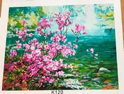 ציור במספרים- 50X40- (K120) -במבצע