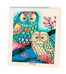 ערכה ליצירה- ציור במספרים על קנווס 30X40- דגם ינשוף